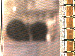 SurveyImage_05_03.png