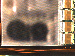 SurveyImage_07_02.png