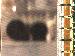 SurveyImage_07_03.png