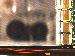 SurveyImage_09_02.png