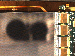 SurveyImage_09_04.png