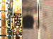 SurveyImage_10_03.png