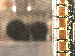 SurveyImage_11_03.png