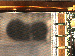 SurveyImage_11_04.png