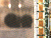 SurveyImage_13_03.png