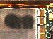 SurveyImage_13_04.png