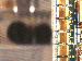 SurveyImage_15_03.png