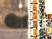 SurveyImage_21_03.png