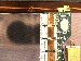 SurveyImage_23_04.png