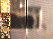 SurveyImage_24_03.png