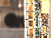 SurveyImage_25_03.png
