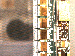 SurveyImage_27_03.png