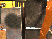 SurveyImage_28_04.png