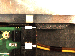 SurveyImage_28_06.png