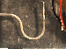 SurveyImage_29_02.png