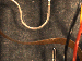 SurveyImage_29_03.png
