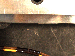 SurveyImage_29_06.png