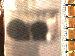SurveyImage_03_03.png