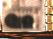 SurveyImage_05_02.png
