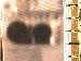 SurveyImage_05_03.png