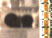 SurveyImage_07_03.png