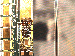 SurveyImage_08_03.png