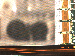 SurveyImage_09_02.png