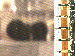 SurveyImage_09_03.png