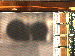 SurveyImage_09_04.png