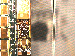 SurveyImage_10_03.png
