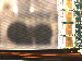 SurveyImage_11_02.png