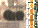 SurveyImage_11_03.png