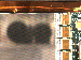 SurveyImage_11_04.png