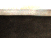SurveyImage_11_06.png