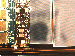 SurveyImage_12_02.png