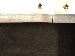 SurveyImage_12_06.png