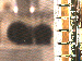 SurveyImage_13_03.png