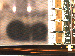 SurveyImage_15_02.png