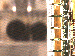 SurveyImage_15_03.png