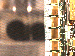 SurveyImage_17_03.png