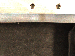 SurveyImage_18_06.png