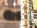 SurveyImage_19_03.png