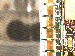 SurveyImage_21_03.png