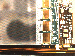 SurveyImage_25_02.png