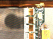 SurveyImage_25_04.png