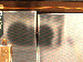 SurveyImage_26_04.png