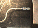 SurveyImage_02_02.png