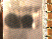 SurveyImage_03_03.png