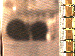 SurveyImage_05_03.png