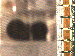 SurveyImage_07_03.png